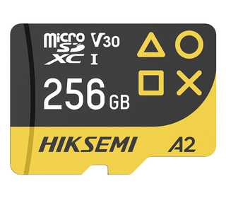 Hiksemi FUTURE 256 Go MicroSDXC TLC Classe 10