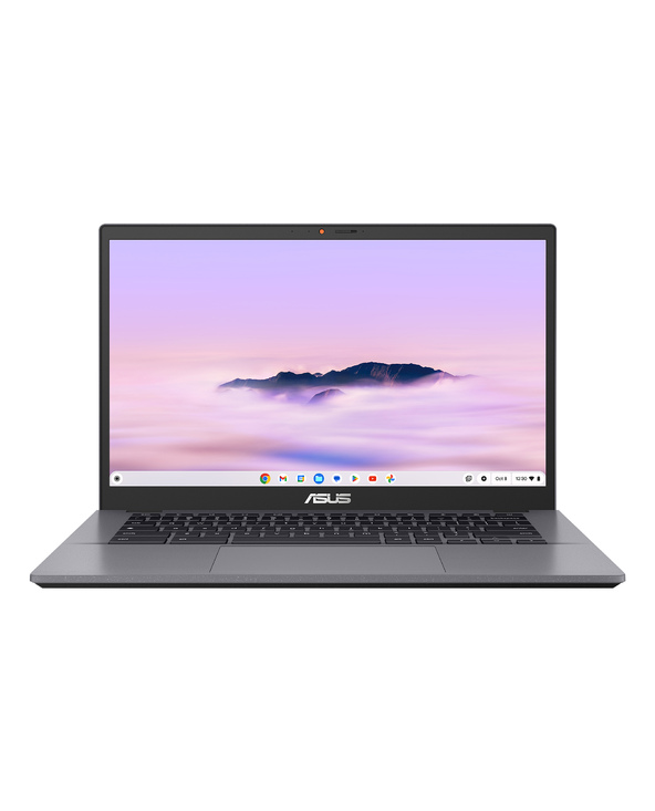 ASUS Chromebook CX3402CVA-MW1575 14" Intel Core 3 16 Go Gris