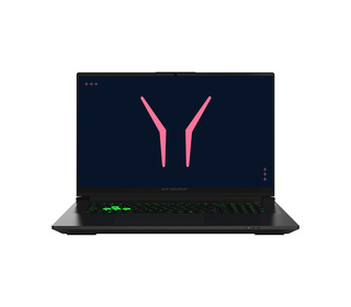 ERAZER DEFENDER 17 P10 (MD600080) 17.3" I9 32 Go Noir 1 To