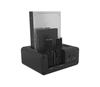 ICY BOX IB-2925MS-CU31 USB 3.2 Gen 2 (3.1 Gen 2) Type-C Noir