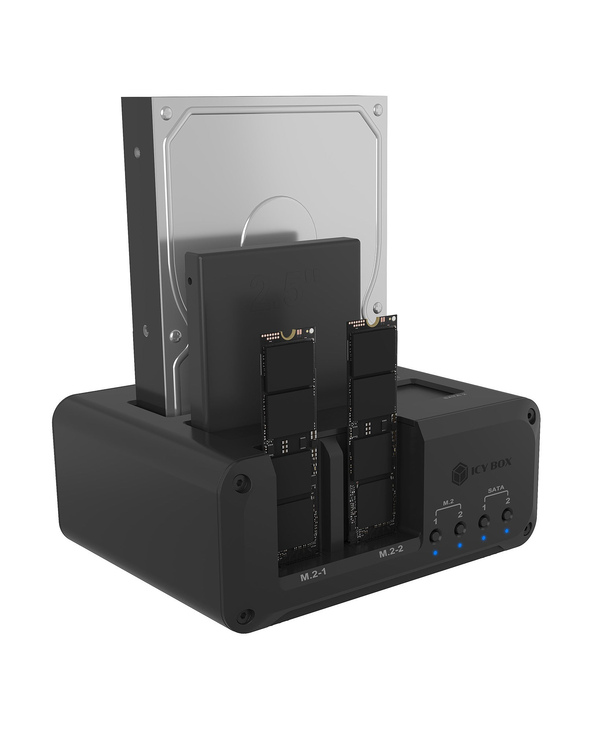 ICY BOX IB-2925MS-CU31 USB 3.2 Gen 2 (3.1 Gen 2) Type-C Noir