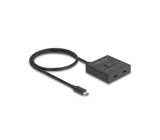 DeLOCK Commutateur 2 en 1 USB 10 Gbps USB Type-C, bidirectionnel, 8K