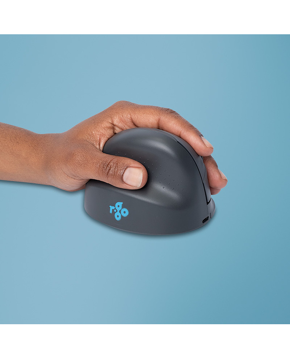 R-Go Tools Souris verticale R-Go HE Basic, souris ergonomique, taille moyenne (longueur de la main : 165-185 mm), pour gauchers,