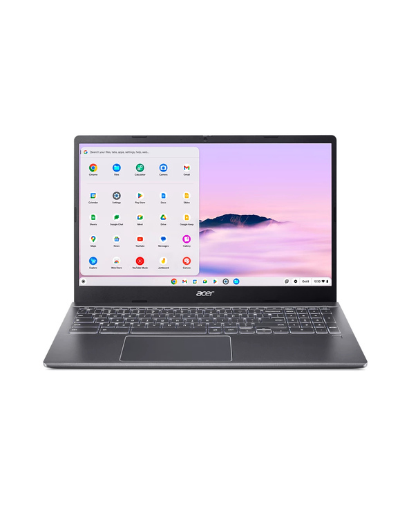 Acer Chromebook CBE595-2-55PQ 15.6" I5 8 Go Gris 128 Go