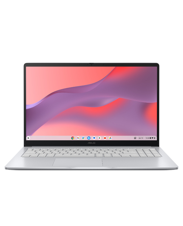 ASUS Chromebook CX1505CTA-ISSS70395 15.6" Intel N 8 Go Gris