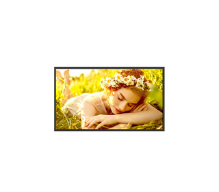 LG 32UL5Q-M Écran d'affichage dynamique Écran plat de signalisation numérique 81,3 cm (32") LCD Wifi 500 cd/m² 4K Ultra HD Noir 
