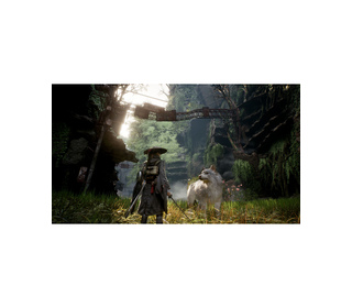 PLAION Beast of Reincarnation Standard PlayStation 5