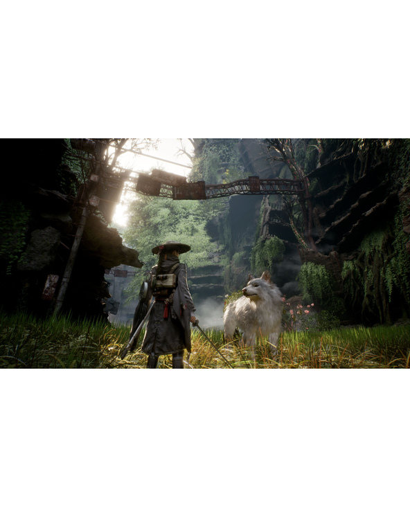 PLAION Beast of Reincarnation Standard PlayStation 5