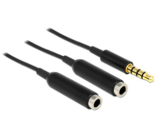 DeLOCK 65575 câble audio 0,25 m 3,5mm 2x3.5mm Noir