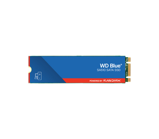 Western Digital Blue WD SA510 1 To M.2 Série ATA III