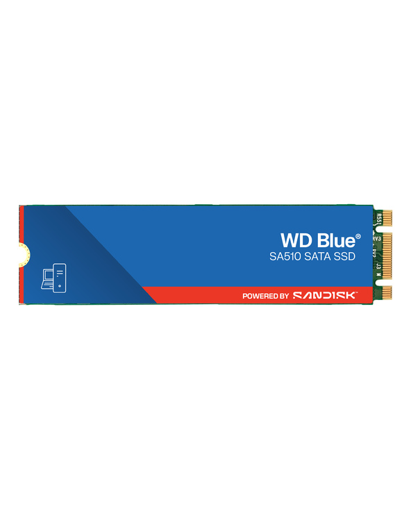 Western Digital Blue WD SA510 1 To M.2 Série ATA III