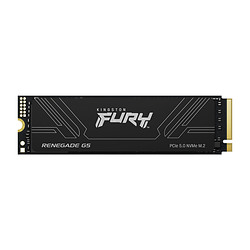 Kingston Technology 8T FURY RENEGADE G5 M.2 2280 NVMe SSD