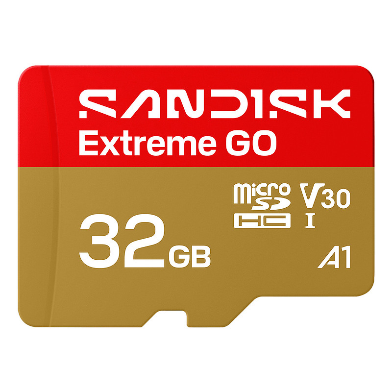 SanDisk Extreme GO 32 Go MicroSDHC UHS-I