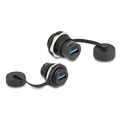 DeLOCK Connecteur USB 3.2 Gen 1 Type-A intégré avec capuchon de protection IP67 contre la poussière et l’eau