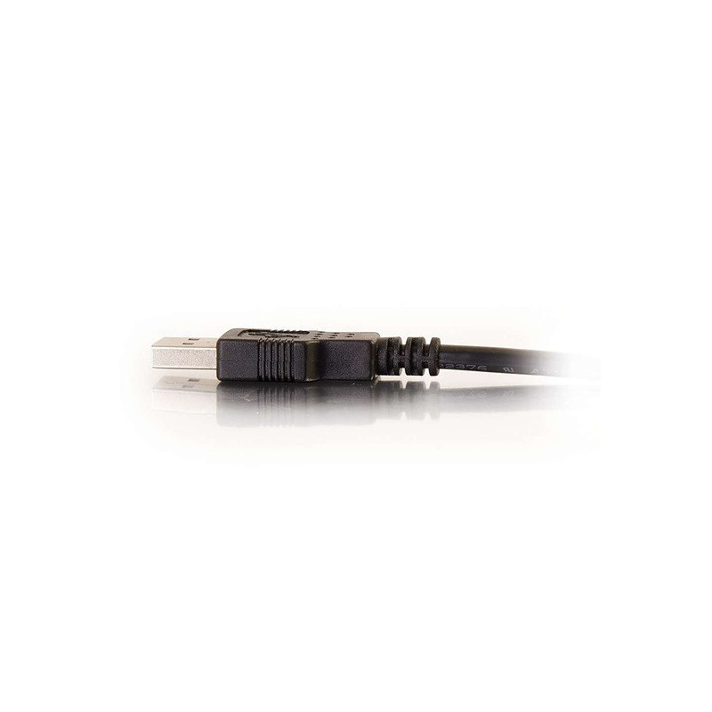 63803405