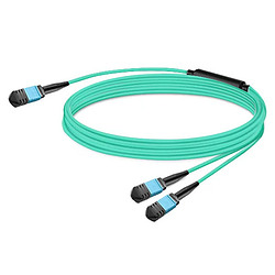 Nvidia MFP7E20-N010 câble InfiniBand et à fibres optiques 10 m MPO 2x MPO Bleu