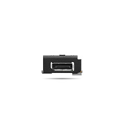 Lenovo 4XH1U89937 carte et adaptateur d'interfaces Interne DisplayPort