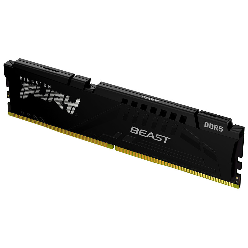 Kingston Technology FURY Beast 64Go 5600MT/s DDR5 CL36 DIMM Noir