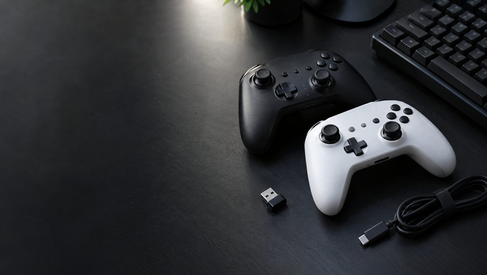 Deux manettes sans fil avec un dongle USB et un câble USB-C