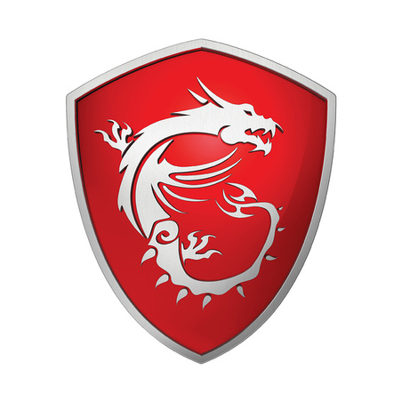 MSI